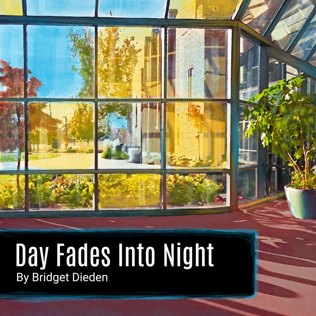 Day Fades Into Night promotional image